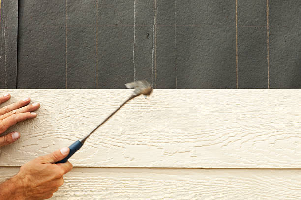 Best Siding for New Construction  in Cohoe, AK